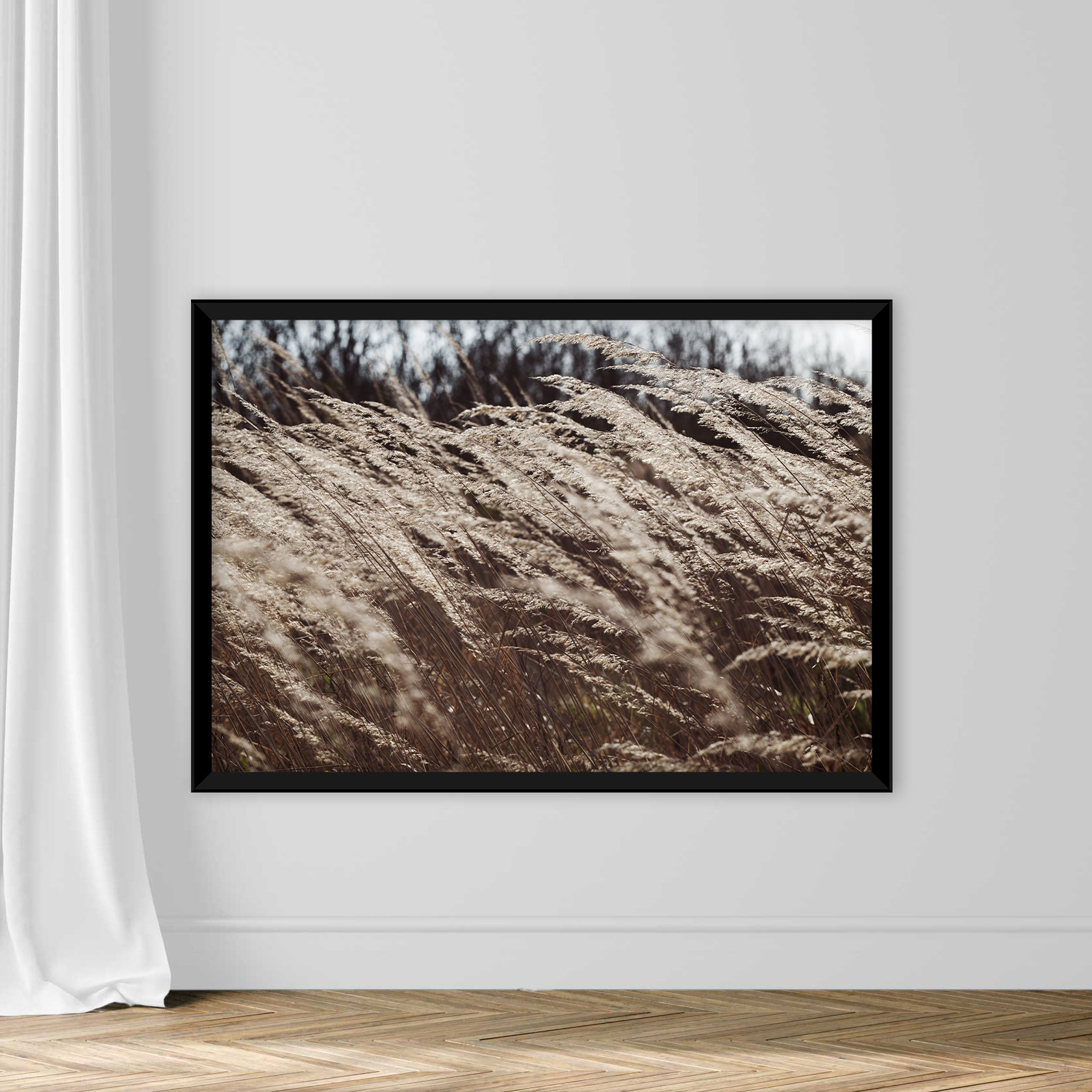 Dry Grass in Autumn - Image 3
