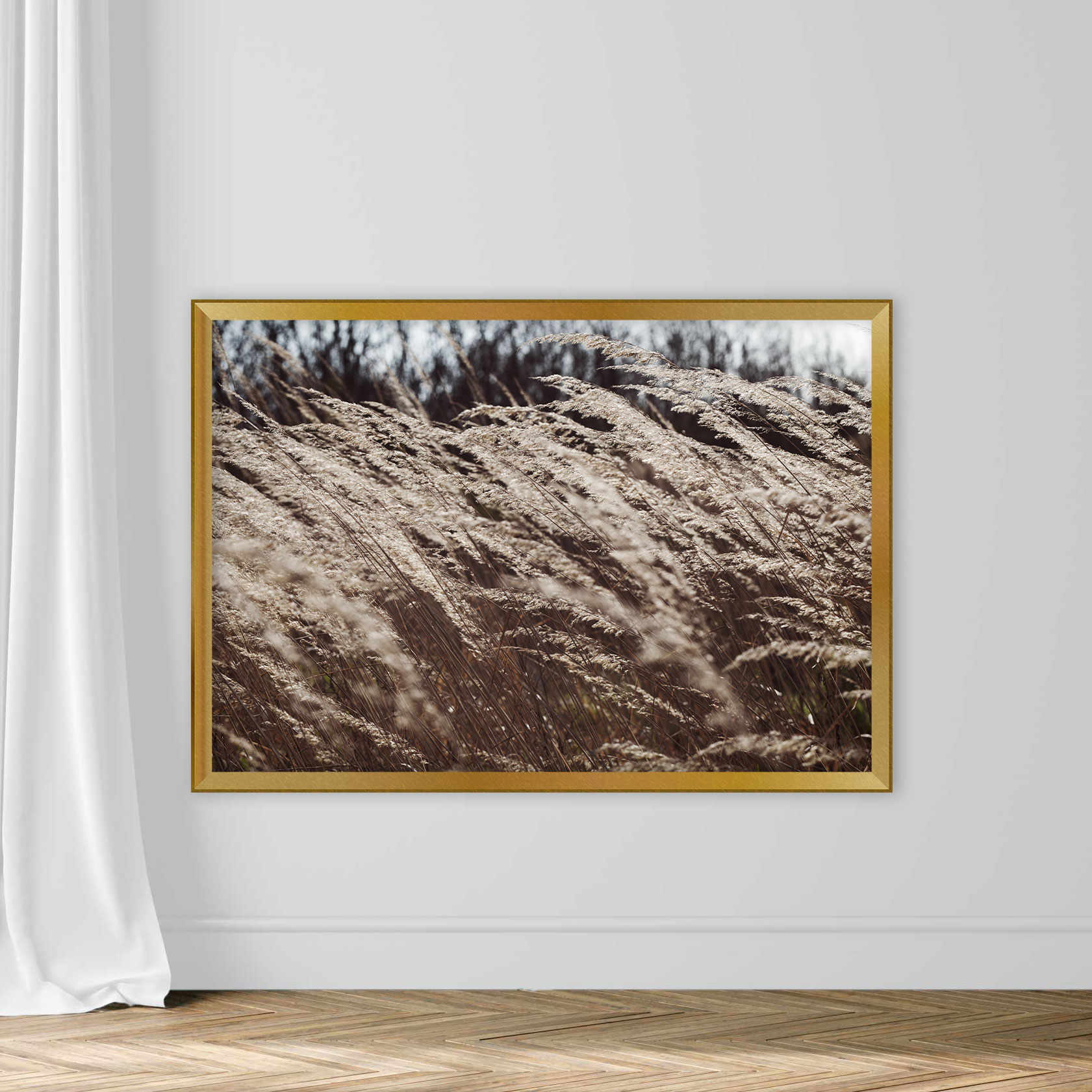 Dry Grass in Autumn - Image 5