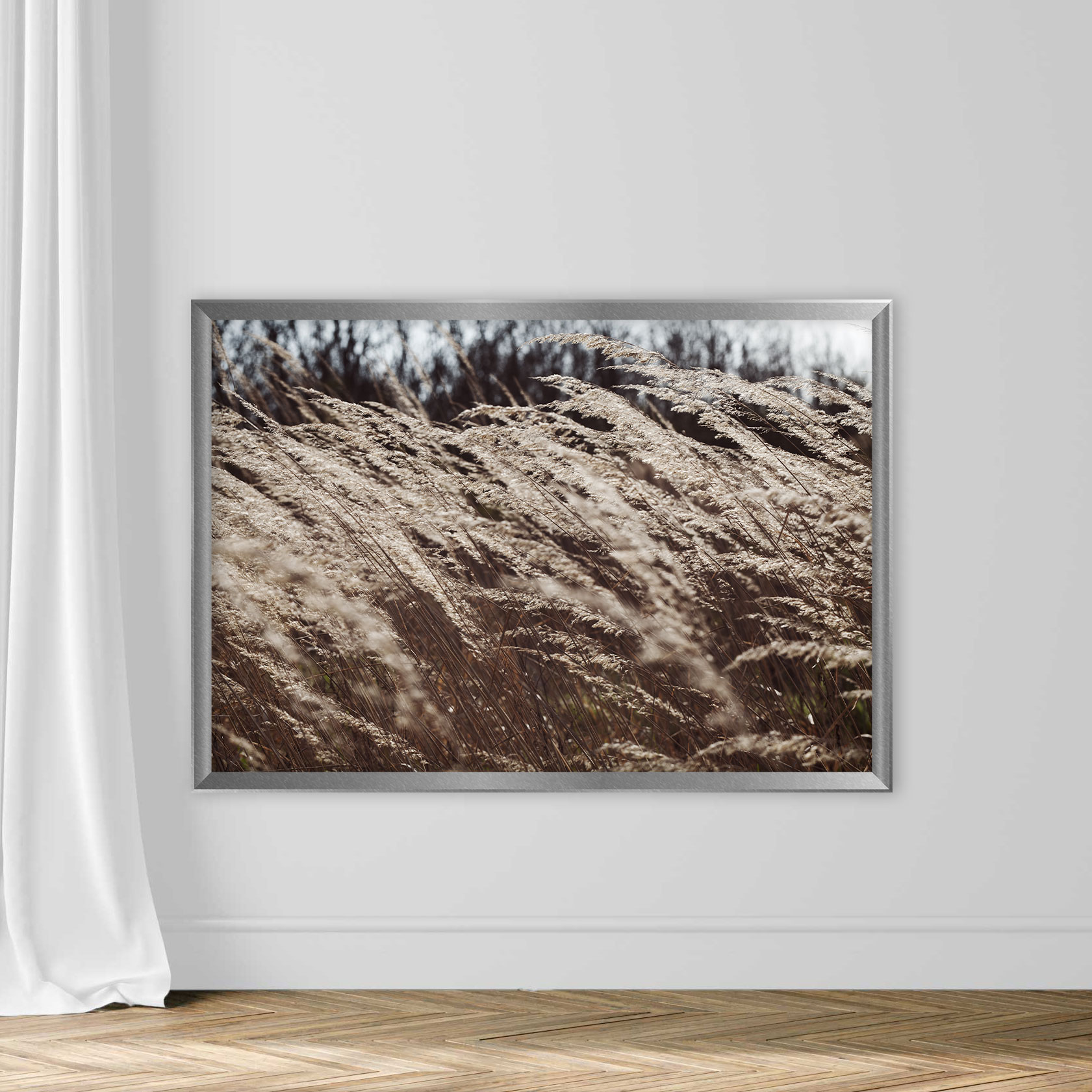 Dry Grass in Autumn - Image 4