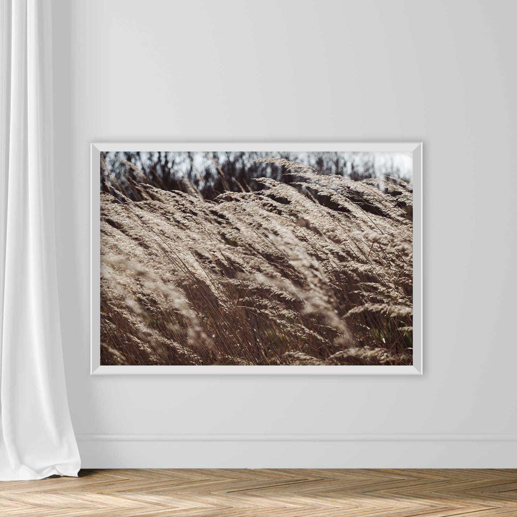Dry Grass in Autumn - Image 2