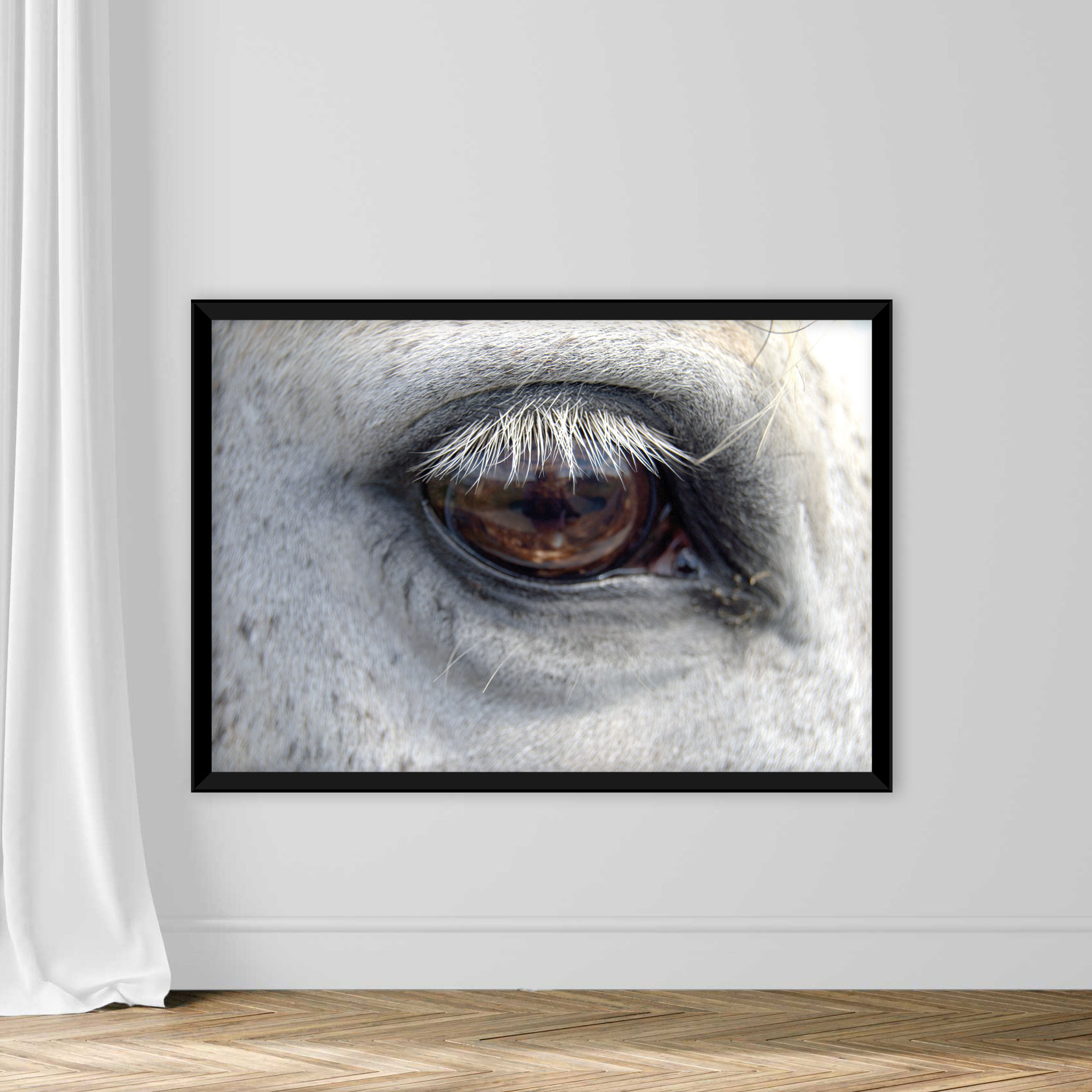 Close-Up Of Horse Eye - Image 3