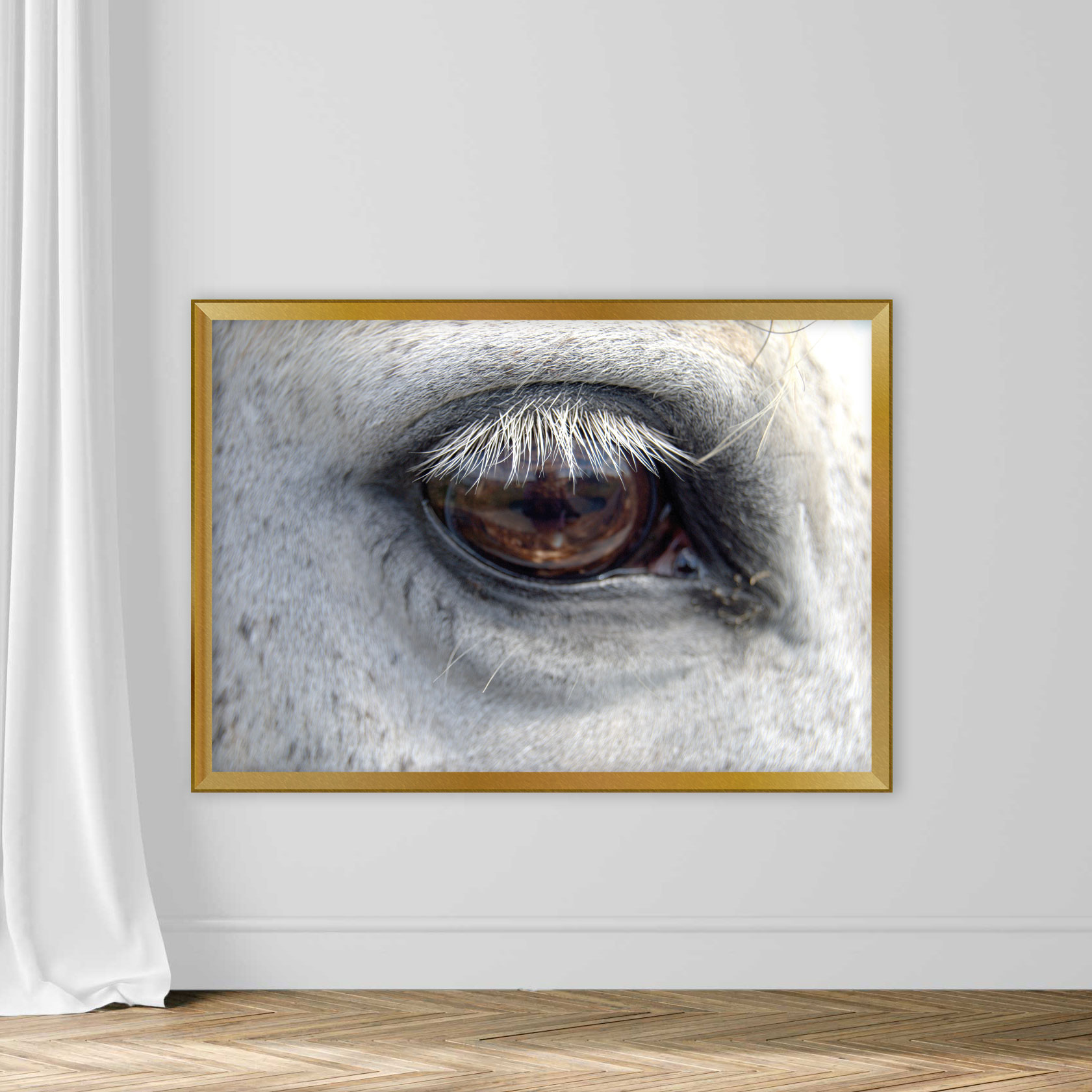 Close-Up Of Horse Eye - Image 5