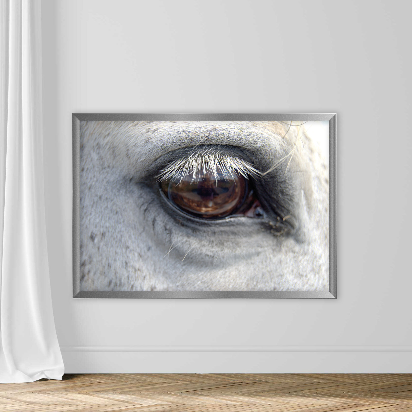 Close-Up Of Horse Eye - Image 4