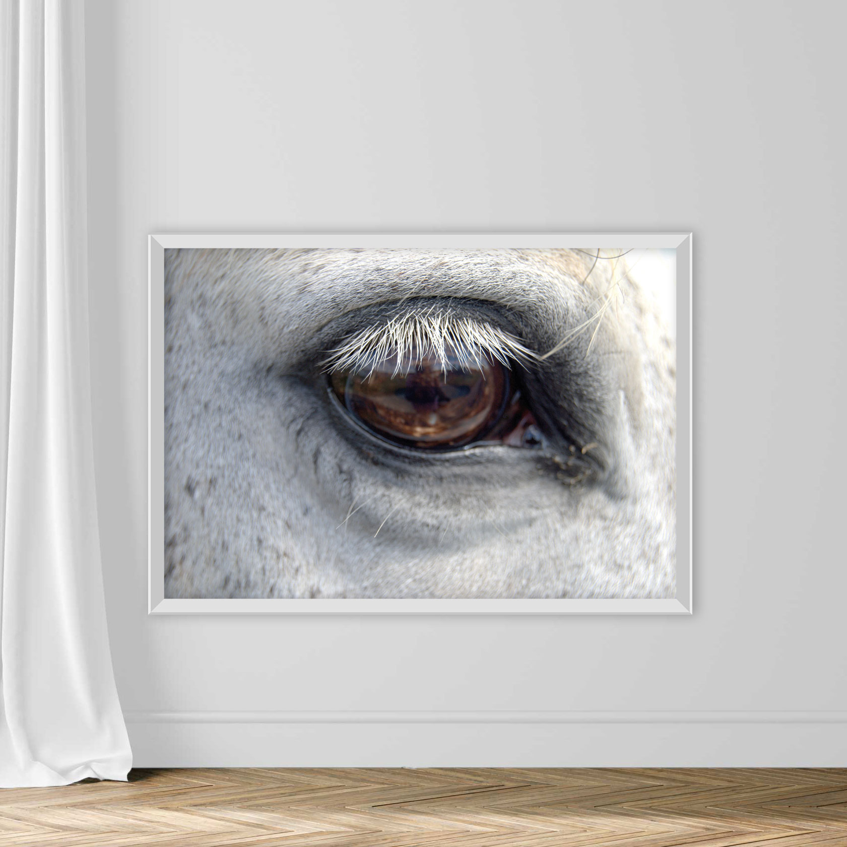 Close-Up Of Horse Eye - Image 2