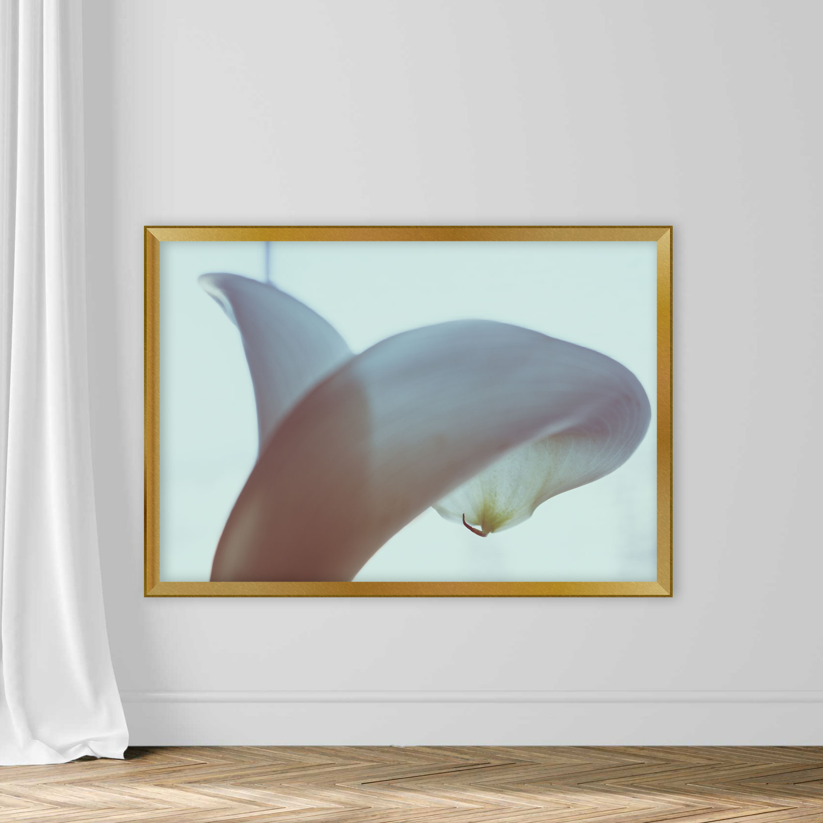 Calla lilly close-up. - Image 5